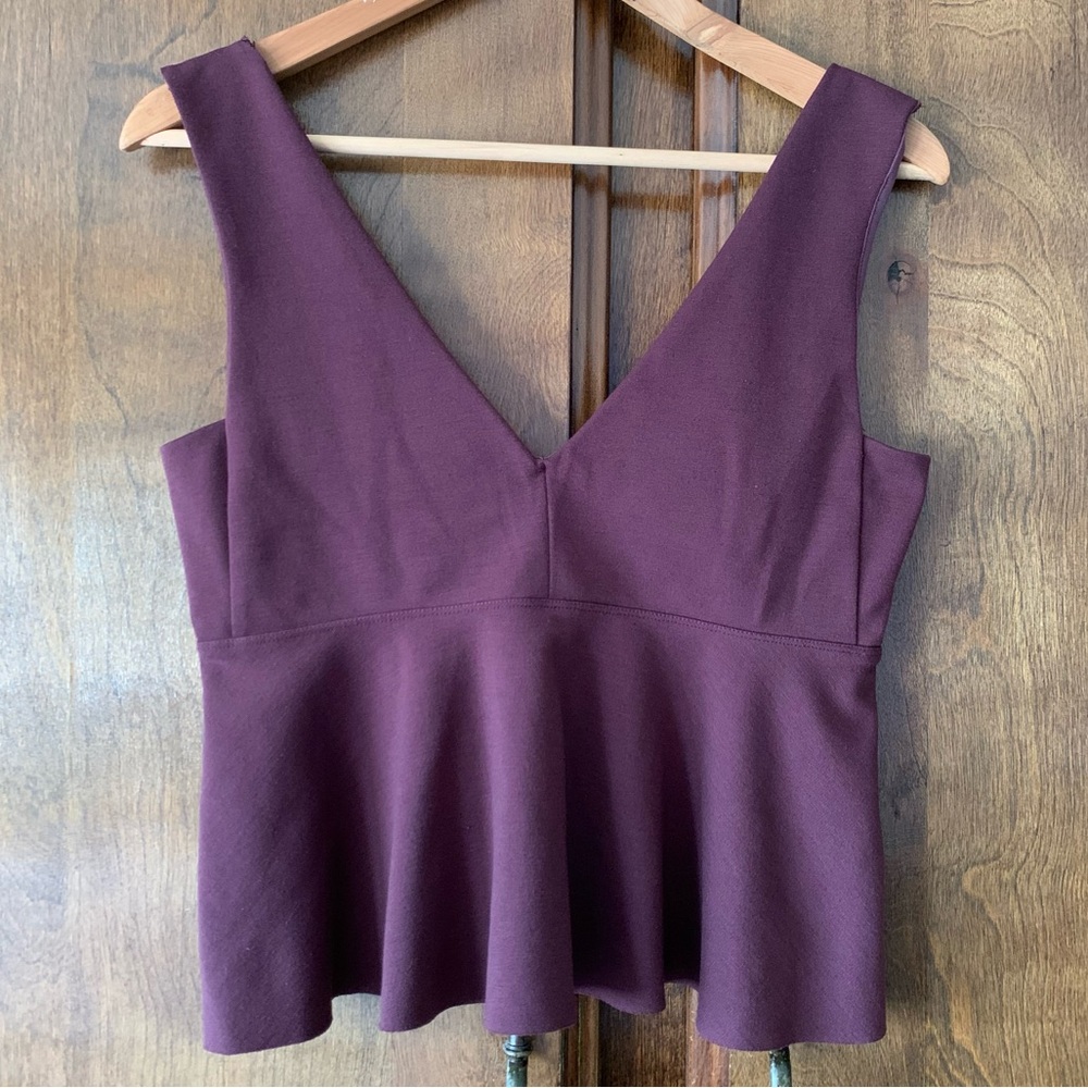 Silence + Noise Plum V-Neck Peplum Top